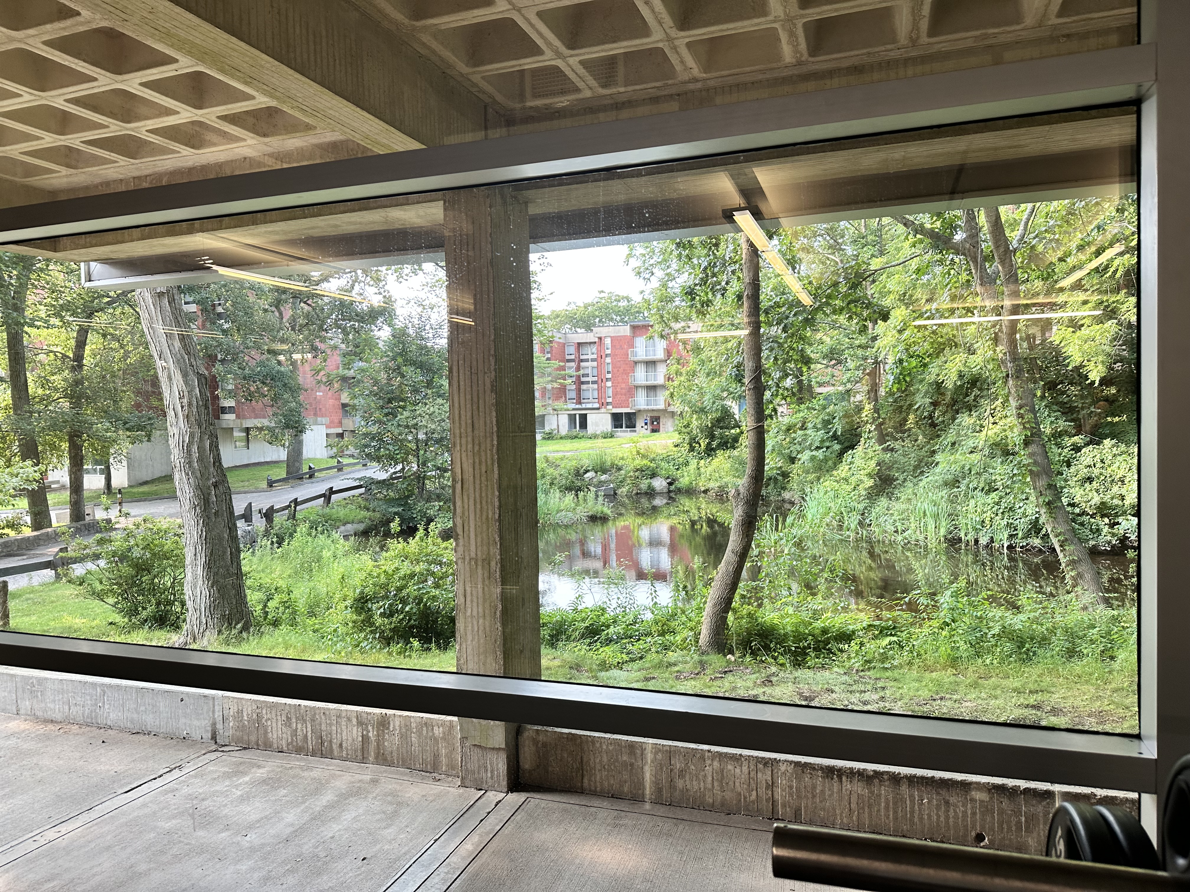 Window looking out on pond in the gym